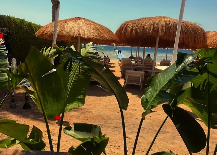 Hills - 2br With Pool View And Free Access Appartamento *